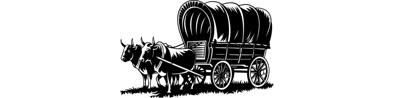 Oxen pulling a caravan